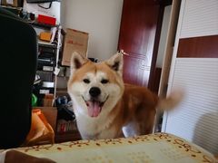 -东方动物医院·宠保定点·骨科·转诊中心(春城路·昆明站分院)