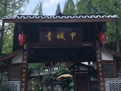 -青城甲(青城山店)