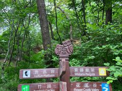 -大连植物园