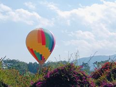 -中国科学院西双版纳热带植物园
