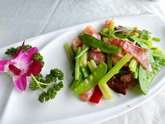 -云中小雅