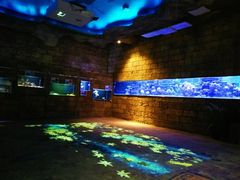 -zoonana室内动物园(东方福来德店)