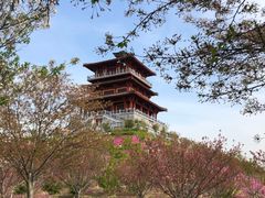 -古柏渡飞黄旅游区