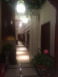 -YESIDO椰岛造型烫发染发