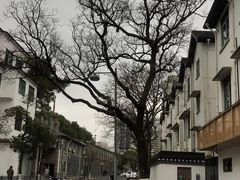 -欧阳小姐在成都(鼓楼店)