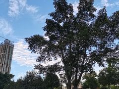 -沙河三洞古桥公园