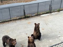 -大连森林动物园