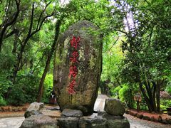 -蝴蝶泉公园