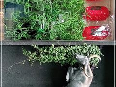 -久喜番和牛烧肉酒场(北辰三角洲店)