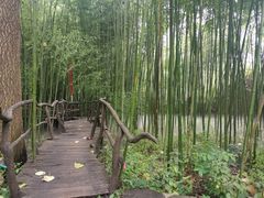 -竹泉村旅游度假区