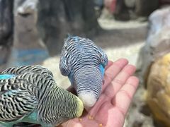 -秦皇岛新澳海底世界
