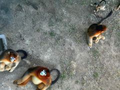 -西霞口神雕山野生动物世界