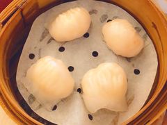 -添好运点心专门店(北角店)
