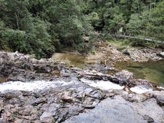 -九龙江国家森林公园