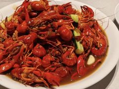 -杨氏青龙虾·羊蝎子(金盛路总店)