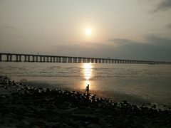 -宝安西湾红树林湿地公园