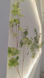 点击看大图 -VE专注问题肌·赛诺龙&科学美肤中心