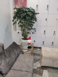-CD Hair salon