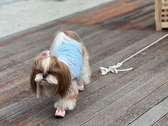 -一尺花园(安和花园店)