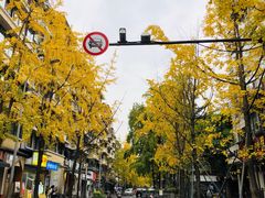 -奎星楼街