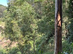 -顺风山庄(水濂山店)