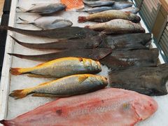 -金沙滩海鲜餐厅·海肠捞饭·手工水饺(梅江龙水园店)