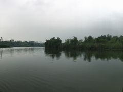 -白鹭湾湿地公园