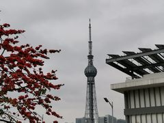 -文华公园(禅城区)