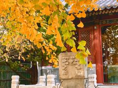 -潭柘寺景区