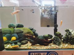 -中田·健身+普拉提(北京通州运河店)
