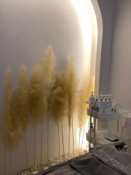 -ST时柒·问题肌抗衰美颜所