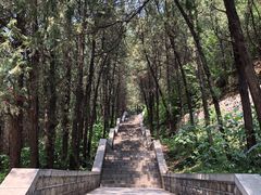 -四门塔风景区