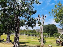 -三亚南山文化旅游区