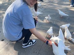 -天津妈祖文化园