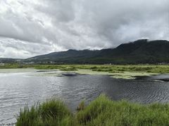-腾冲北海湿地