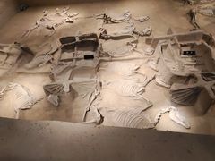 -洛阳周王城天子驾六博物馆