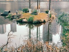 -重庆彩云湖湿地公园