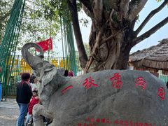 -一寨两国风景区