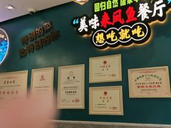 -新概念来凤鱼(璧山店)