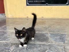 -开封府