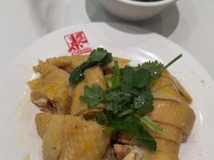 -泰煌鸡·上海白斩鸡·沪菜(平利店)