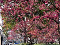 -四川北路(地铁站)