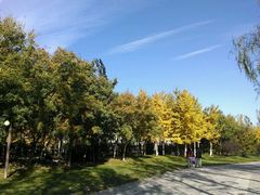 android_upload_pic-稻香湖景酒店