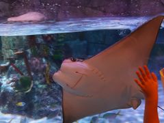 -沈阳海洋探索中心