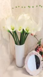 -悦芳庭美肤美体品牌集合店