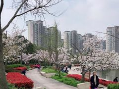 -新江湾城公园