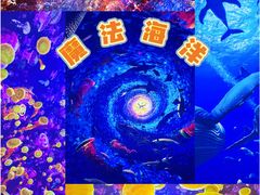 -海合安青岛极地海洋公园