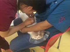 -芭比堂动物医院·犬猫全科·异宠专科(雁塔分院)