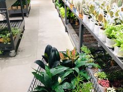 -鹿岛会员店 (龙湖三千集天街店)