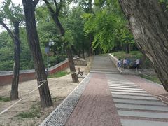 -阳台山自然风景区